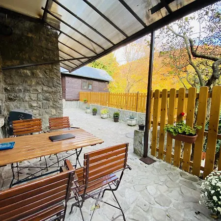 Apartment Carol Private Yard With Barbeque And Parking Sinaia Exterior photo