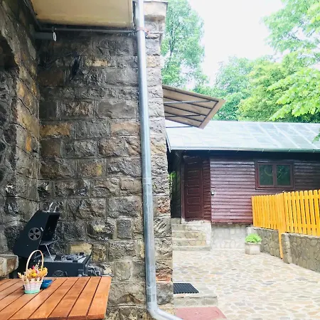 Apartment Carol Private Yard With Barbeque And Parking Sinaia Exterior photo