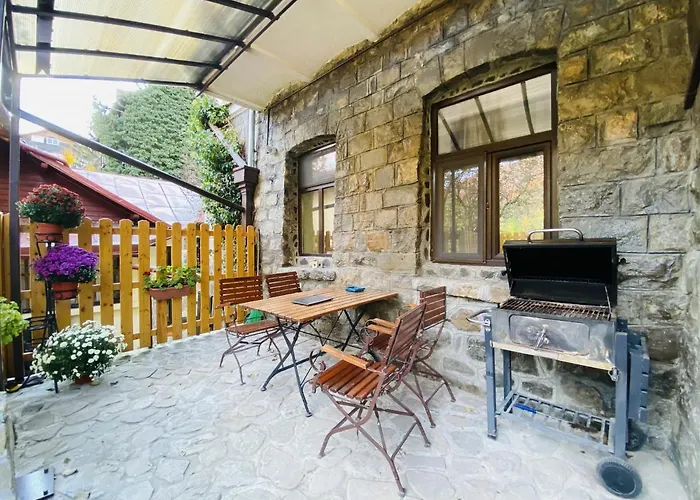 Apartment Carol Private Yard With Barbeque And Parking