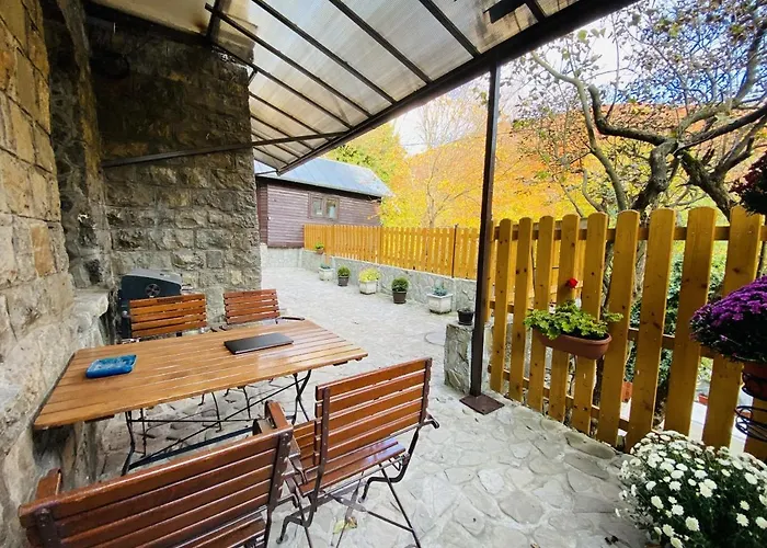 Apartment Carol Private Yard With Barbeque And Parking