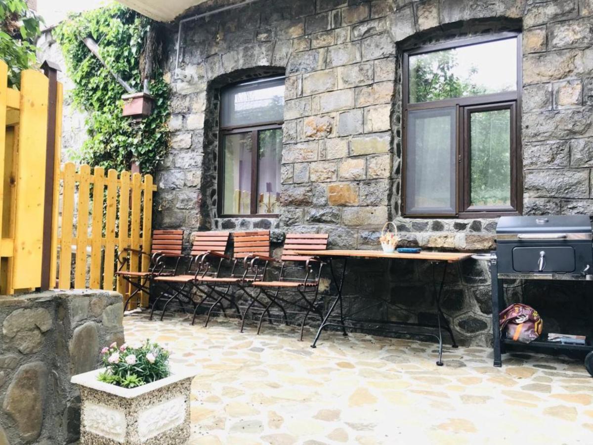 Carol Private Yard With Barbeque And Parking Sinaia