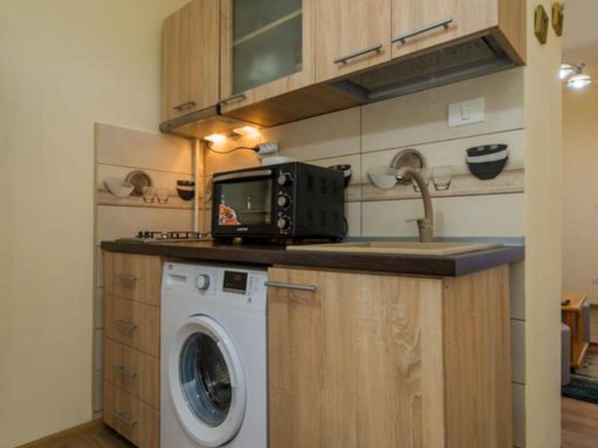 Carol Private Yard With Barbeque And Parking Apartment Sinaia