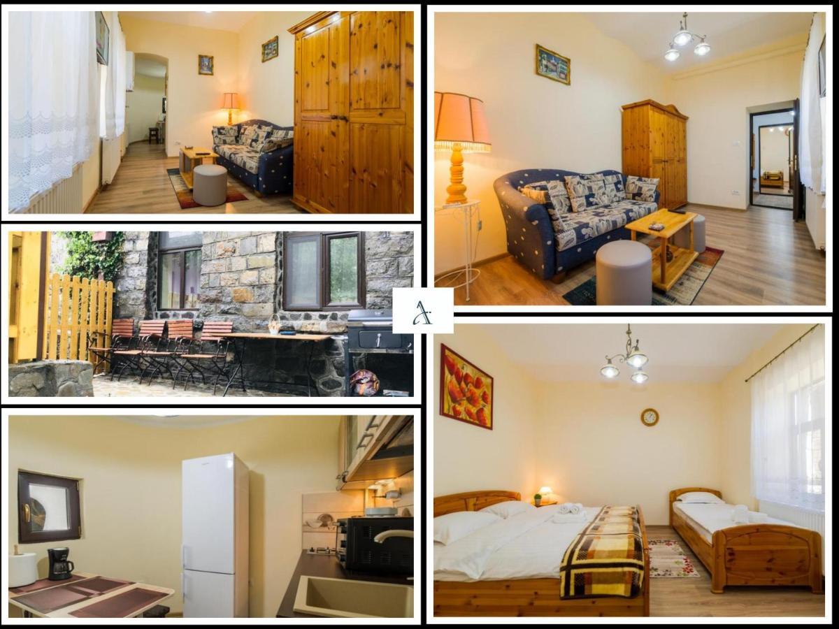 Carol Private Yard With Barbeque And Parking * Sinaia