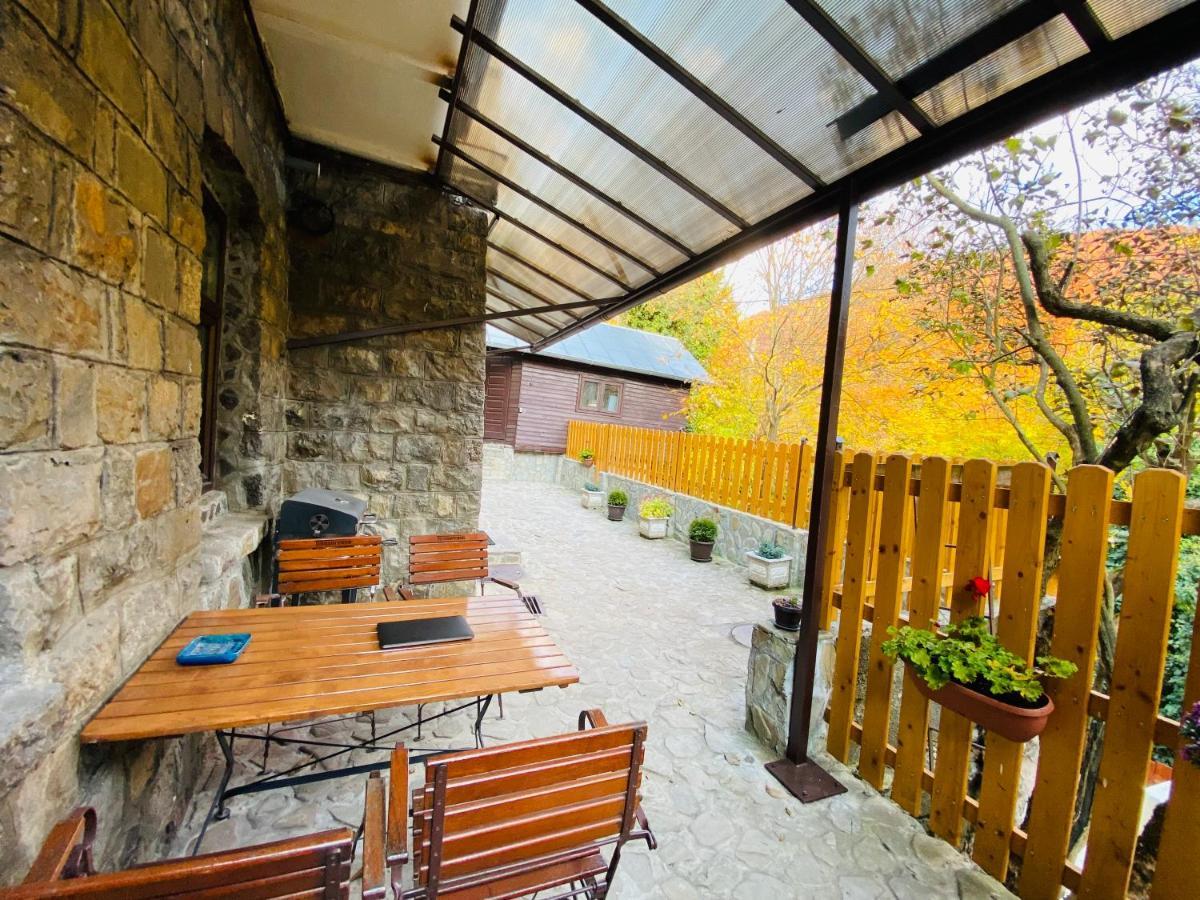 Apartment Carol Private Yard With Barbeque And Parking *
