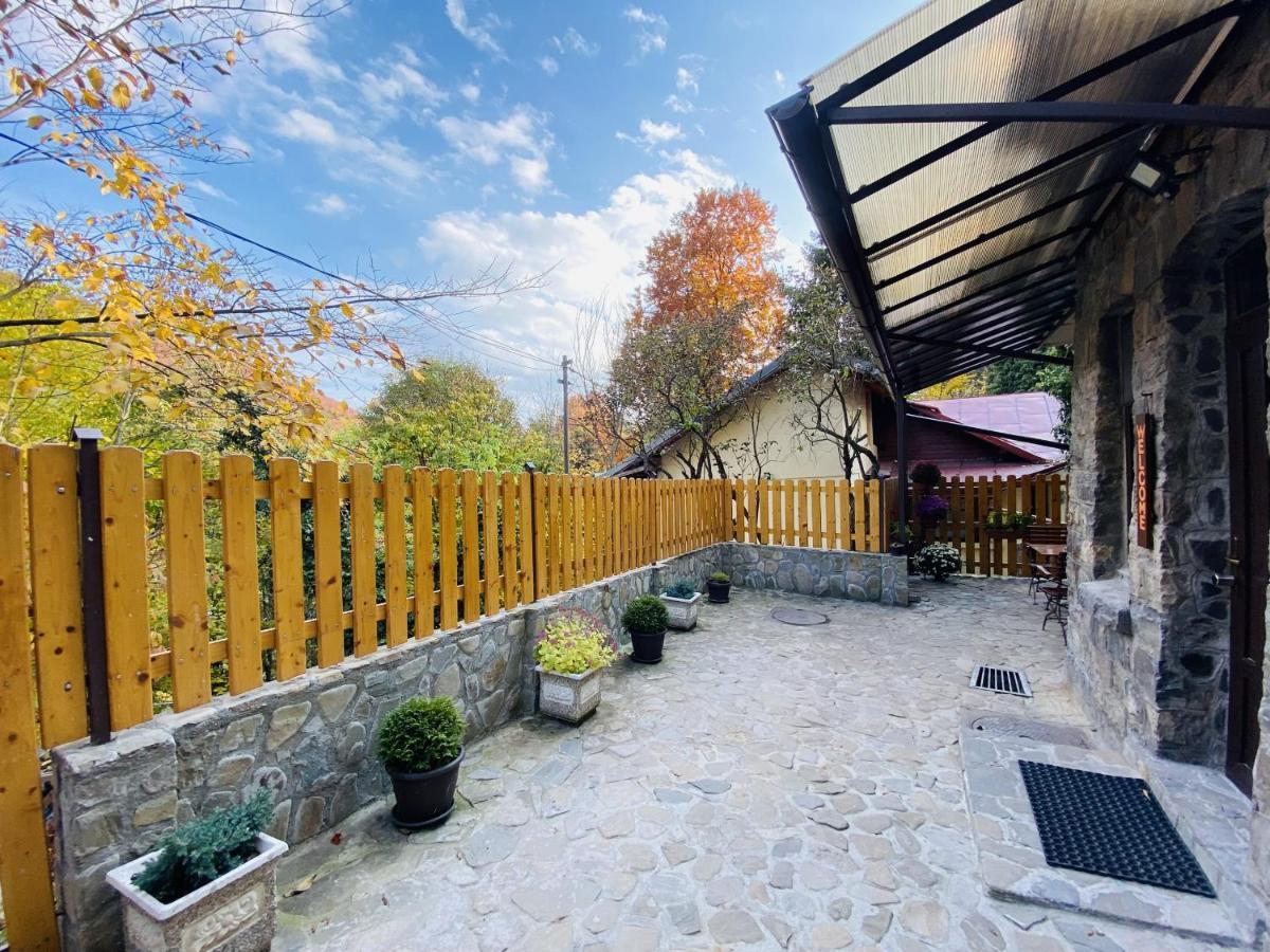Carol Private Yard With Barbeque And Parking Sinaia
