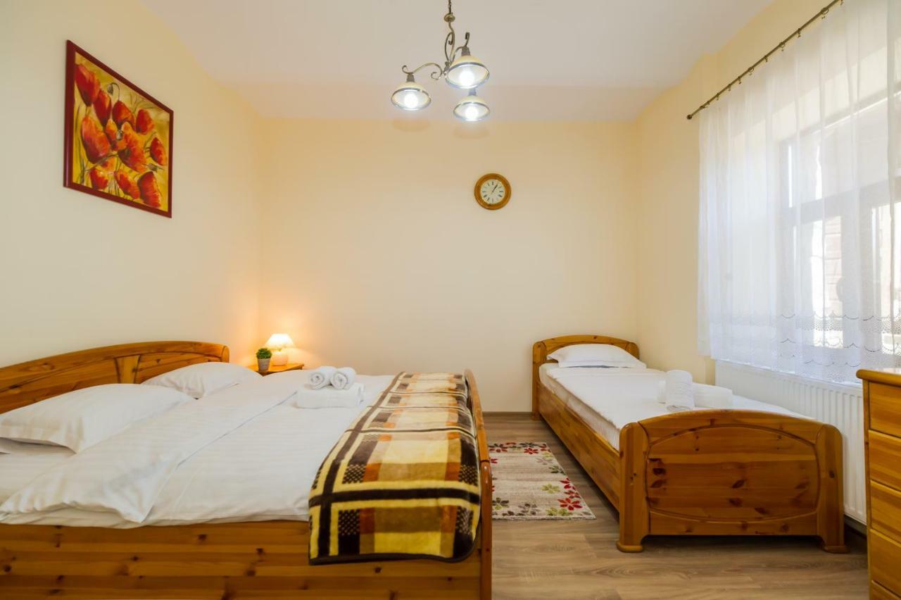 Carol Private Yard With Barbeque And Parking Apartment Sinaia