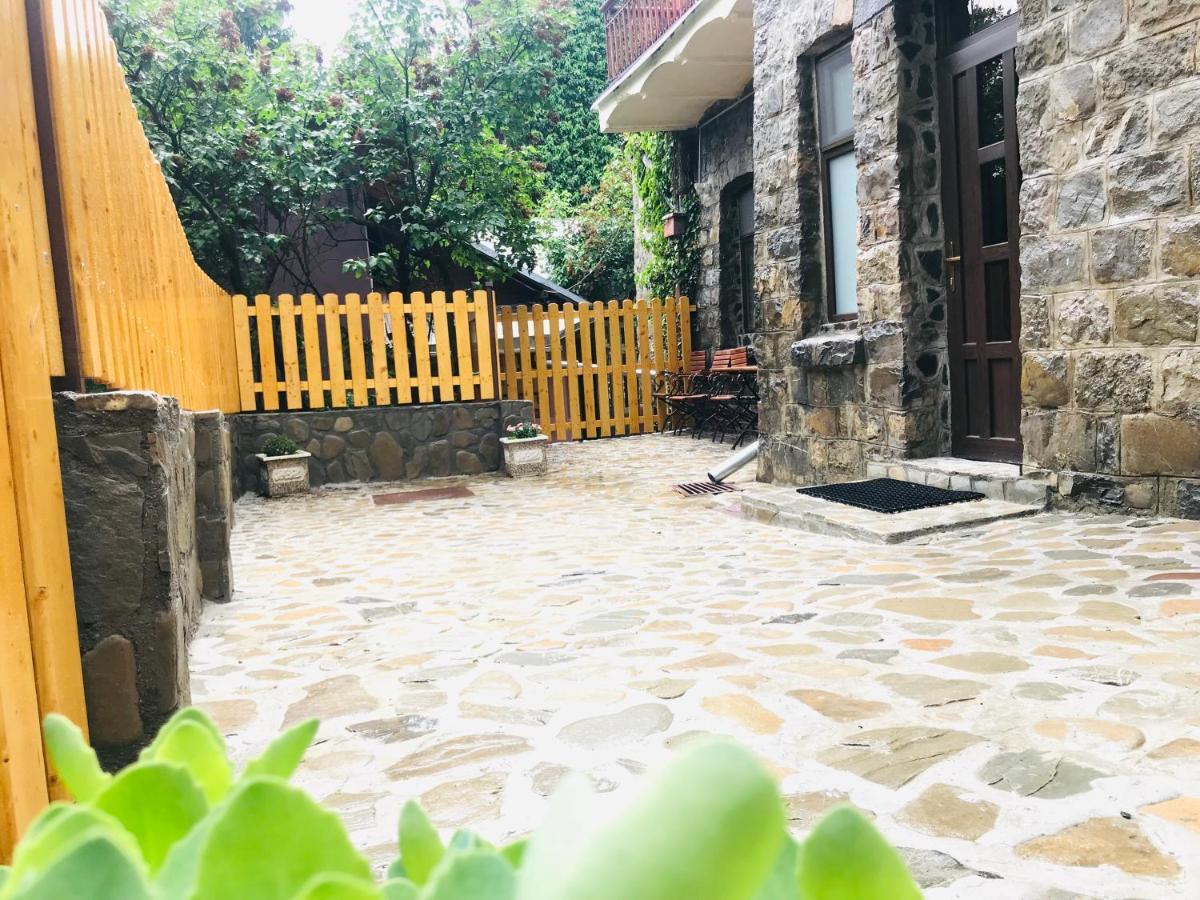 Carol Private Yard With Barbeque And Parking * Sinaia