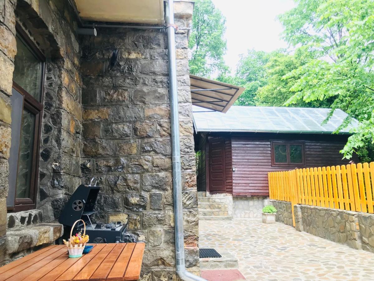 Carol Private Yard With Barbeque And Parking * Sinaia